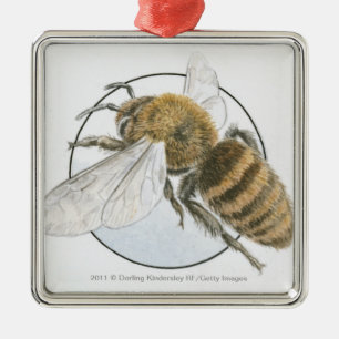 Ornement Carré Argenté Illustration d'abeille européenne de miel