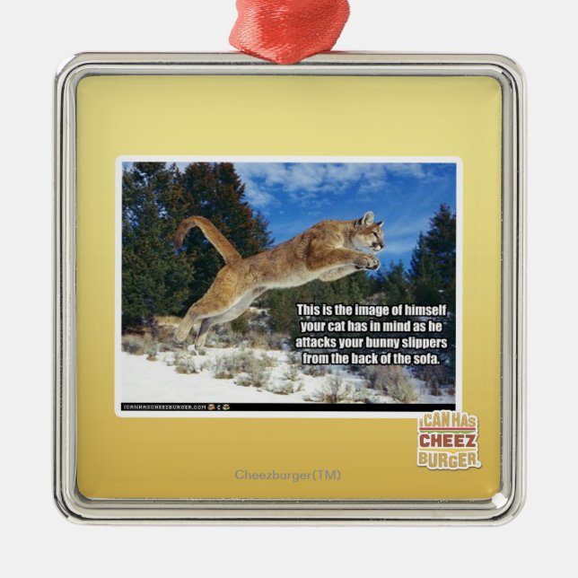 Ornement Carré Argenté Image de chat (Devant)