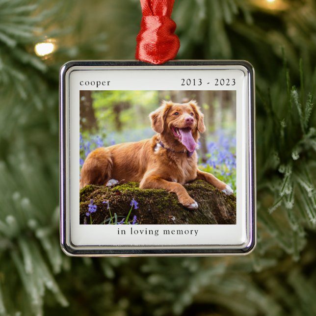Ornement Carré Argenté In Love Memory Photo Pet Memorial (Arbre)