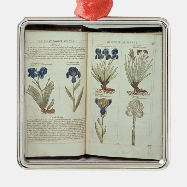 Ornement Carré Argenté Iris (Devant)