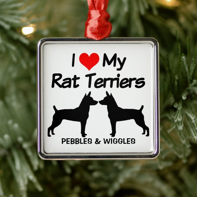 Ornement Carré Argenté J'Aime Mes Deux Chiens Rat Terrier (Arbre)