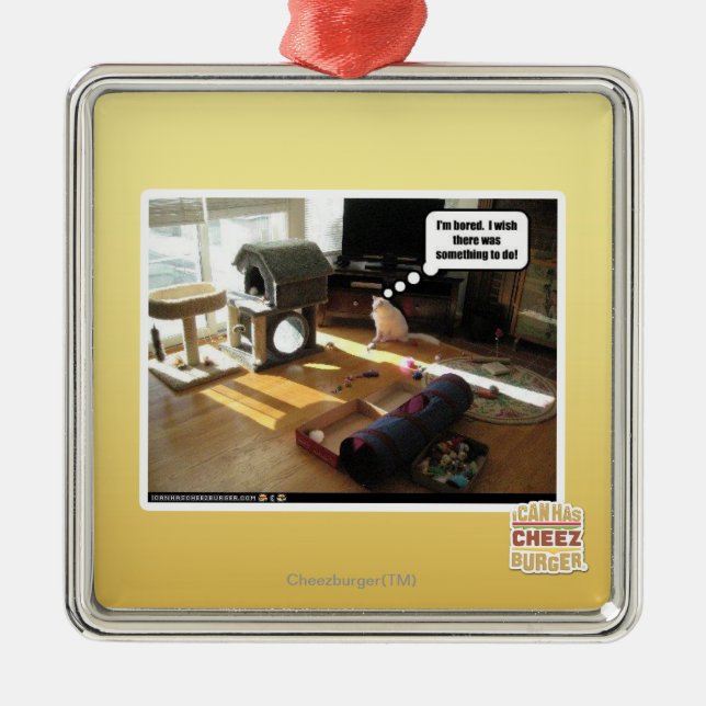 Ornement Carré Argenté J'aimerais qu'il y ait quelque chose à faire (Devant)