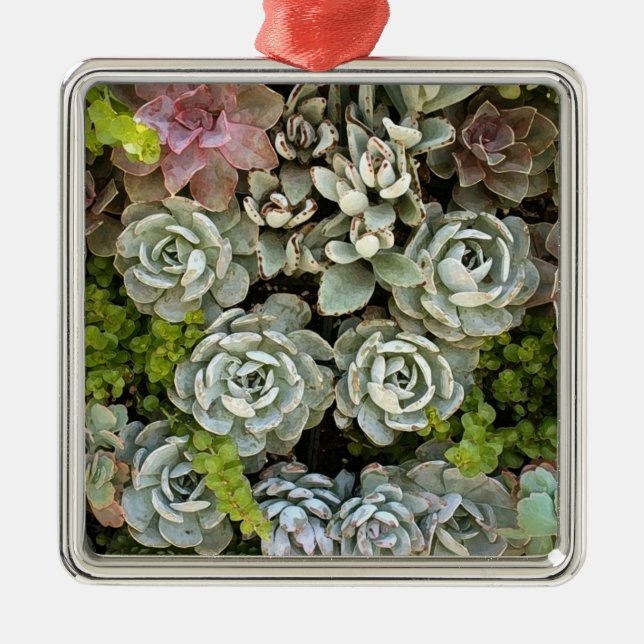 Ornement Carré Argenté Jardin Succulent 1 (Devant)