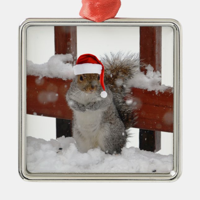 Ornement Carré Argenté Jaunty Squirrel avec l'Ornement de Noël Hat (Devant)