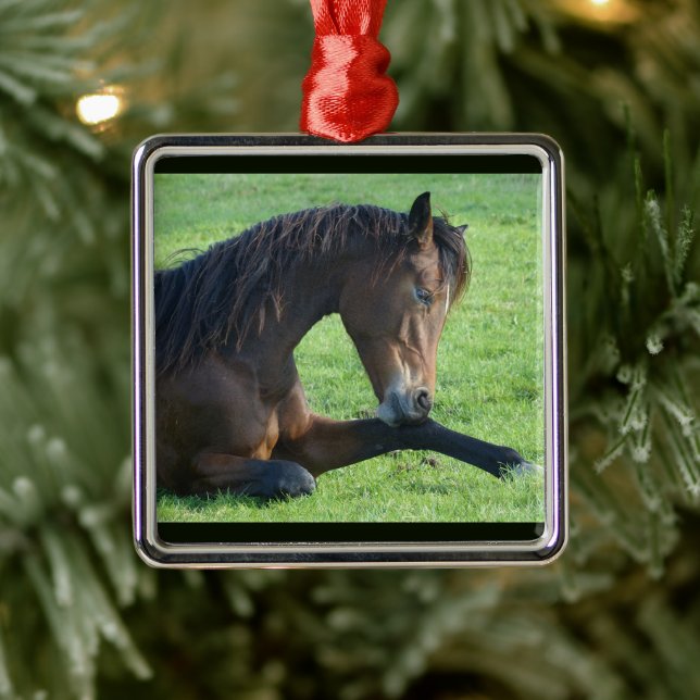 Ornement Carré Argenté Joli Cheval Brown allongé dans l'herbe (Arbre)