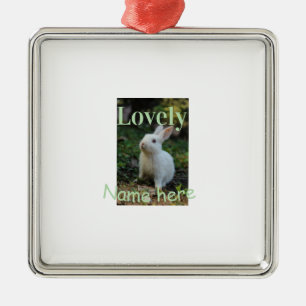 Ornement Carré Argenté Joli nom de photo de lapin de compagnie vert paste