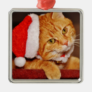 Ornement Carré Argenté Joyeux Noël Orange Tabby Chat