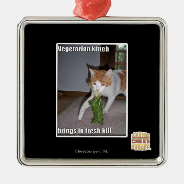 Ornement Carré Argenté Kitteh végétarien (Devant)