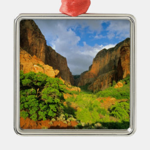 Ornement Carré Argenté Kolob Canyon à Zion Canyon dans le parc national d