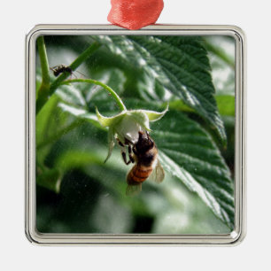 Ornement Carré Argenté L'abeille sur la framboise Bush
