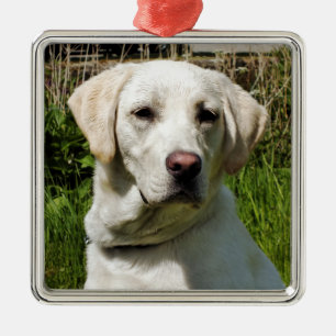 ORNEMENT CARRÉ ARGENTÉ LABRADOR DOG