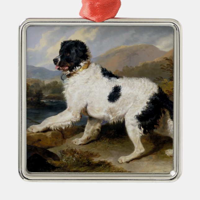Ornement Carré Argenté Landseer Newfoundland Dog (animal noir et blanc) (Devant)