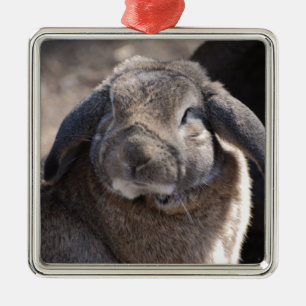 Ornement Carré Argenté Lapin à oreilles de Lop