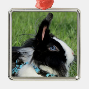 Ornement Carré Argenté Lapin Lapin Lionhead noir et blanc Fluffy
