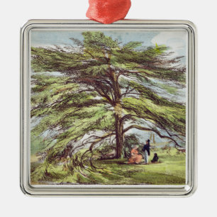 Ornement Carré Argenté L'arbre de cèdre du Liban dans l'arborétum, Kew