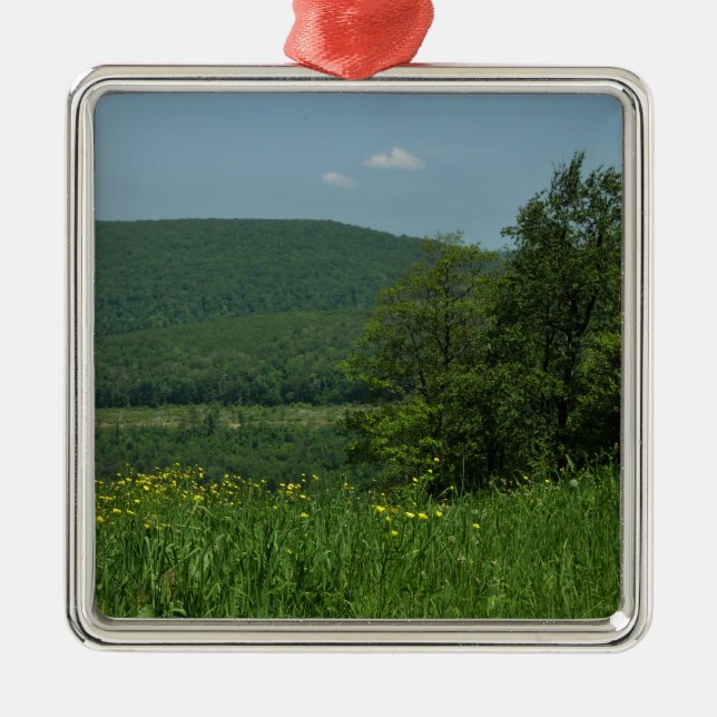 Ornement Carré Argenté Laurel Highlands Pennsylvania Summer Photography (Devant)