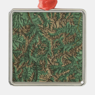 Ornement Carré Argenté Le Colorado 5