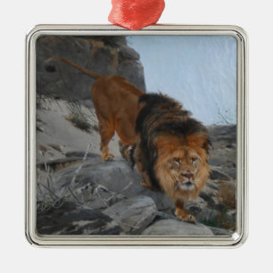 Ornement Carré Argenté Le lion dans les montagnes (par Richard Friese)