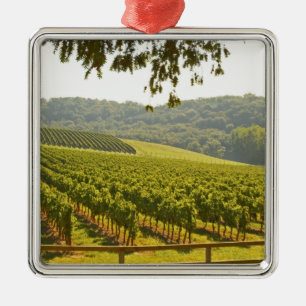 Ornement Carré Argenté Le vignoble et une vallée avec une forêt -