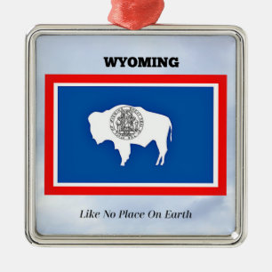 Ornement Carré Argenté Le Wyoming, Comme Pas De Place Sur Terre