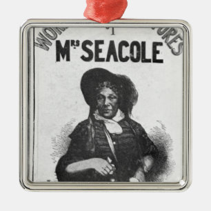 Ornement Carré Argenté Les aventures merveilleuses de Mme Seacole'