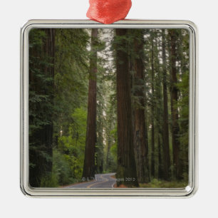 Ornement Carré Argenté Les Etats-Unis, la Californie, route par la forêt