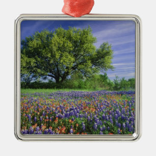 Ornement Carré Argenté Live Oak & Texas Paintbrush et Texas