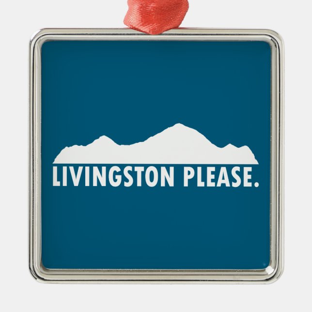 Ornement Carré Argenté Livingston Montana Please (Devant)