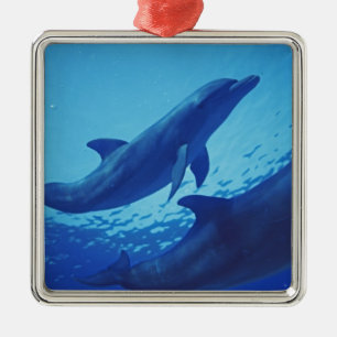 Ornement Carré Argenté Mexique, Cozumel. Dauphin à col fermé, Tursiops