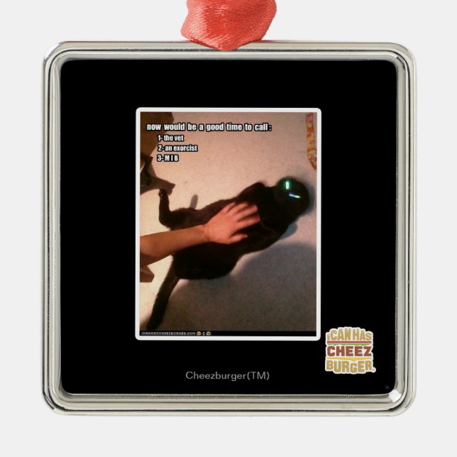 Ornement Carré Argenté MIB d'appel (Devant)