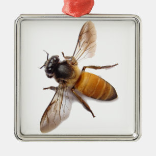 Ornement Carré Argenté Miel Bee