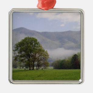 Ornement Carré Argenté Misty meadow and Rich Mountain, Cades Cove,