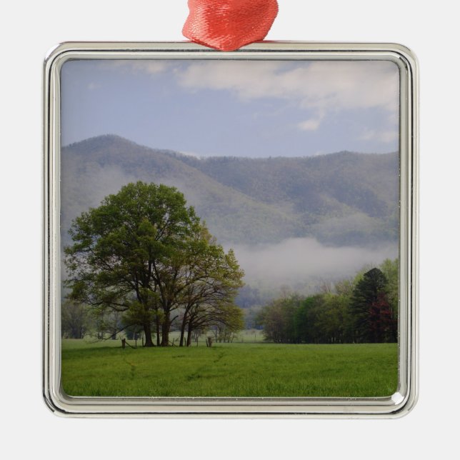 Ornement Carré Argenté Misty meadow and Rich Mountain, Cades Cove, (Devant)
