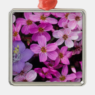 Ornement Carré Argenté NA, États-Unis, Alaska, îles Aléoutiennes, Fleu