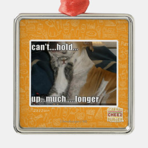 Ornement Carré Argenté Ne peut pas supporter beaucoup plus longtemps