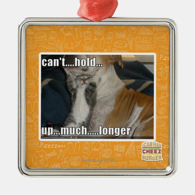 Ornement Carré Argenté Ne peut pas supporter beaucoup plus longtemps (Devant)