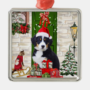 Ornement Carré Argenté Noël du chien de montagne bernois