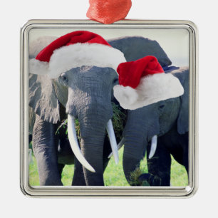 Ornement Carré Argenté Noël inoubliable d'éléphant