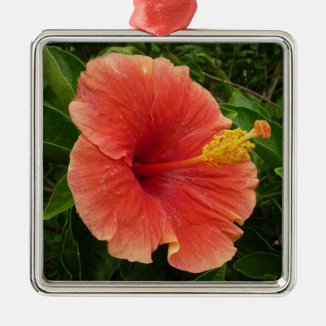 Ornement Carré Argenté Orange Hibiscus Fleur Tropical Floral (Devant)