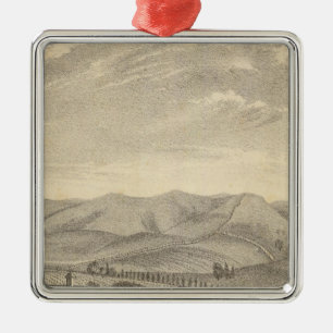 Ornement Carré Argenté Palmer res, vignoble