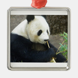 Ornement Carré Argenté Panda