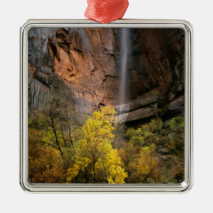 Ornement Carré Argenté Parc national de Zion, Utah. États-Unis. Éphémère