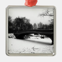 Parc NYC. de Centeral d'hiver