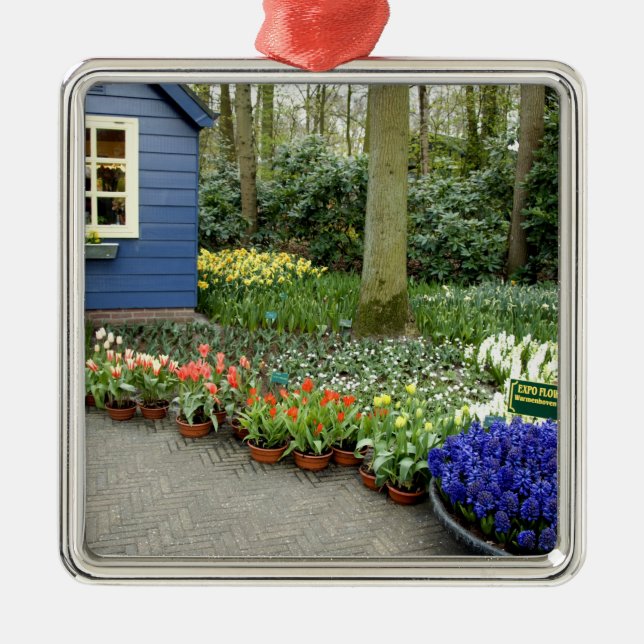 Ornement Carré Argenté Pays-Bas aka Holland), Lisse. Keukenhof 11 (Devant)