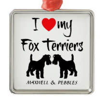 Personnalisé J'Aime Mes Terriers Fox