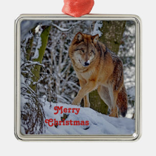 Ornement Carré Argenté Photo de neige du loup sauvage Noël