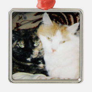 Ornement Carré Argenté Photo douillette de deux chats Posed Cheek to Chee
