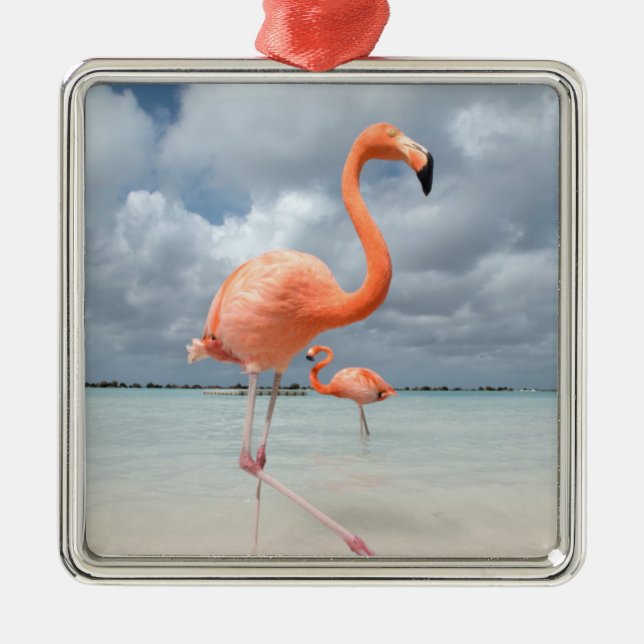 Ornement Carré Argenté Plage Aruba de Flamants roses (Devant)