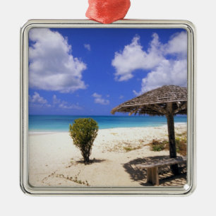 Ornement Carré Argenté Plage de Coco Point, Barbuda, Antigua