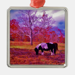 Ornement Carré Argenté PONY dans un champ de couleur PLANCHE